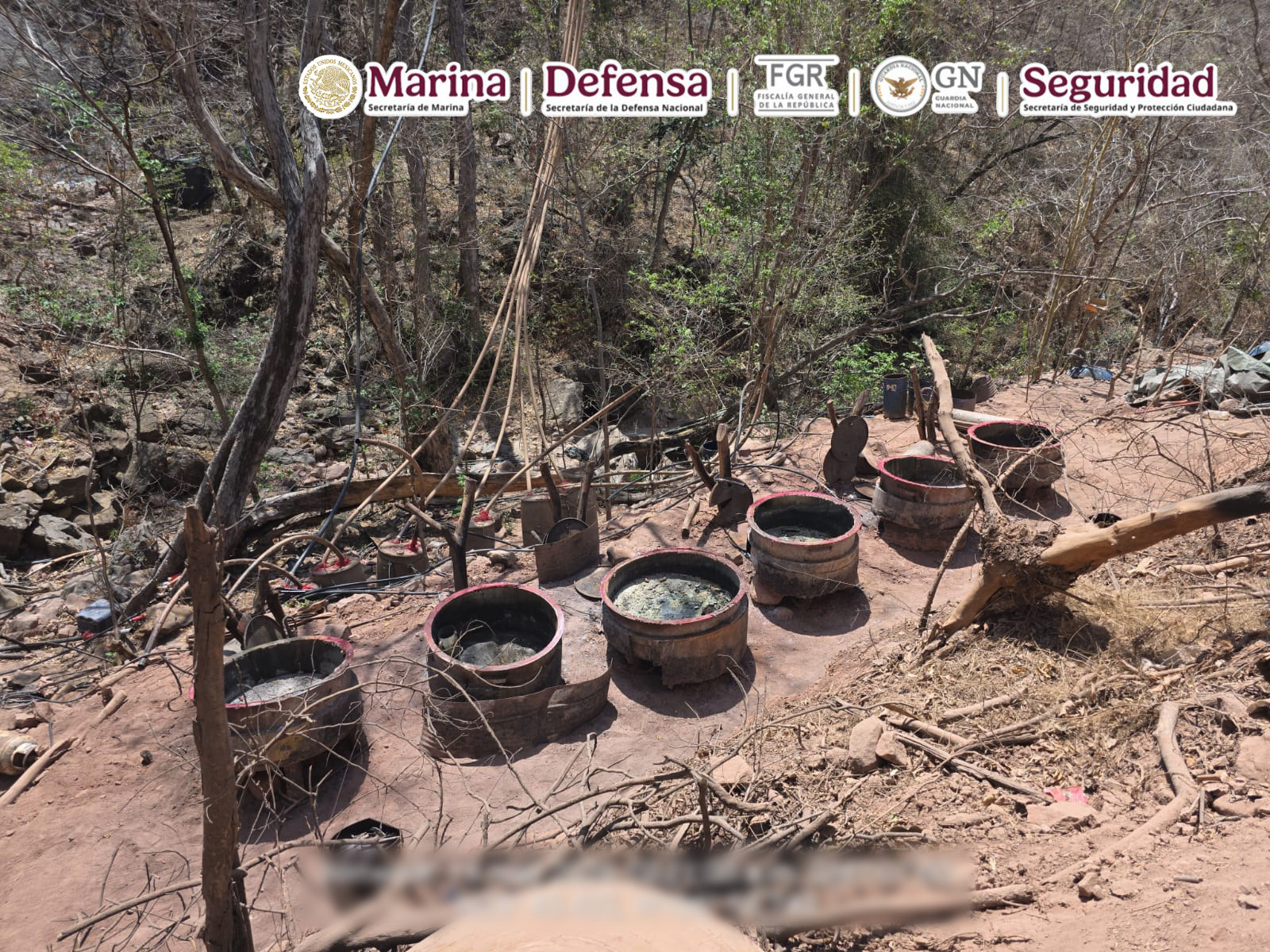 Localizan e inhabilitan tres laboratorios clandestinos en Sinaloa